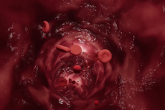 animate a 3d surgical or cardiovascular procedure walkthrough