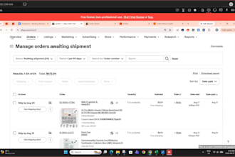 ebay store management expert