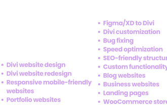 divi expert for divi wordpress website