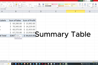 design interactive excel dashboards and data visualizations