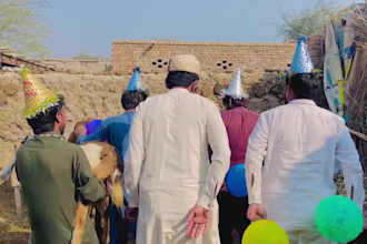 african happy birthday video african happy birthday video