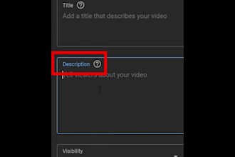 manage and grow your youtube channel professionally