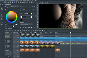 professionally edit videos for youtube, tiktok, reels