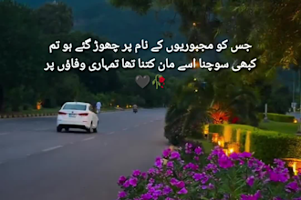 edit aesthetic urdu shayari poetry reels and viral shorts