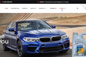 design and redesign wordpress websites with elementor