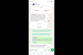 build an openai powered ai chatbot with whatsapp integration
