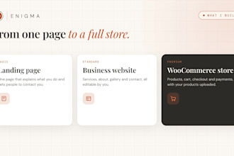 be your web expert wordpress and woocommerce developer