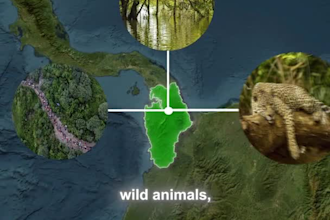 do map animation shorts and long videos
