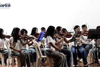 teach you how to play violin or viola