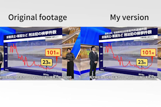 professional chinese, english and japanese subtitles for your video