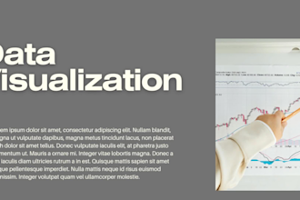 data entry, excel reporting, and graphic design solutions
