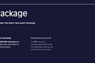 audit your website for SEO issues