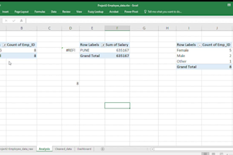 clean format organize excel data to professional excel dashboard