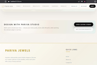 develop a professional business website