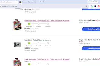 build a successful ebay dropshipping business