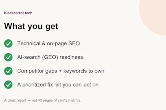 do a full SEO and ai search GEO audit of your website