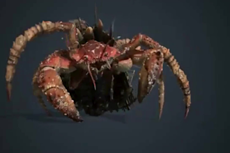 do 3d animal animation, creature animation, 3d character animation
