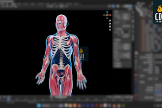 create professional 3d medical animation and moa videos