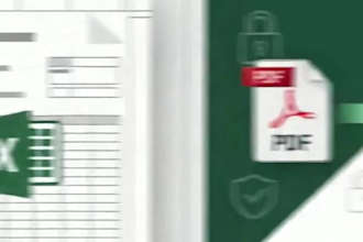 convert PDF files to editable excel spreadsheets