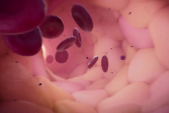 create 3d pharmaceutical mechanism of action moa medical animation