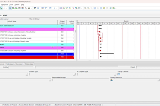 create a professional primavera p6 project schedule