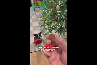 create ugc for dad friendly videos that convert