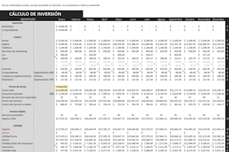 do financial consulting regarding production costs