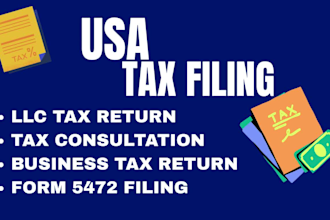 prepare and file USA federal and state tax return for individuals llc