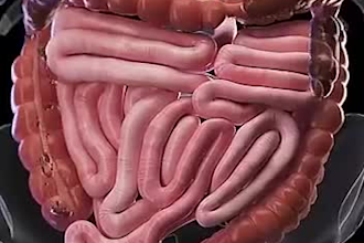 create professional 3d medical animation and medical explainer videos