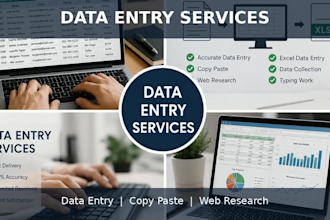 do accurate data entry and typing