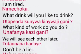 english and swahili translation