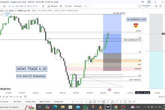 provide professional ict mentorship and trading mastery