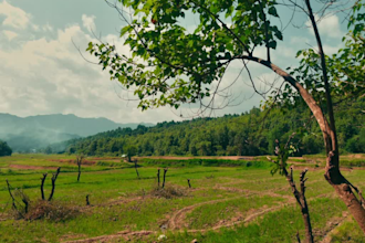 color grade your footage