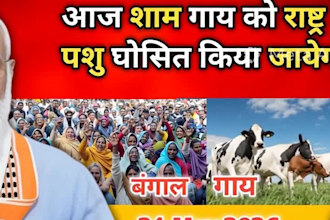 do political thumbnails for youtube or instagram