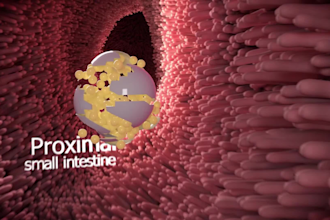 create 3d medical animation for drug mechanism and surgical videos
