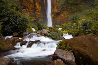 create cinematic ai videos from real nature photography
