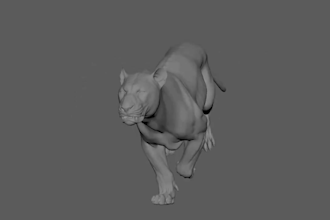do 3d animal model and animation, 3d xgen zbrush model,  grooming hair animation