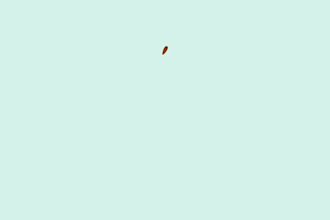 create a modern minimal logo animation