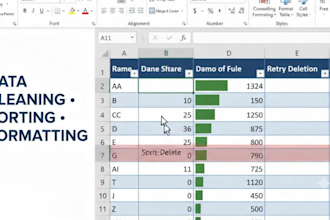 excel data cleaning and formatting