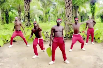 african happy birthday video african happy birthday video