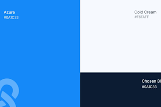 explainer saas videos and launch video