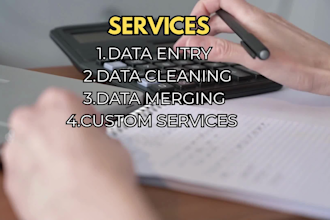 data cleaning, data entering in excel