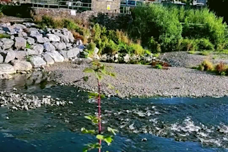 create a cinematic video keepsake from your travel and summer footage