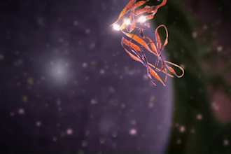 do 3d medical animation 3d cellular and molecular animation 3d anatomy video