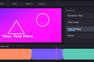design professional canva instagram posts and flyer