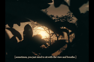 transform your video into a cinematic masterpiece
