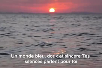 be your french vocalist and write french pop, latin pop or flamenco lyrics