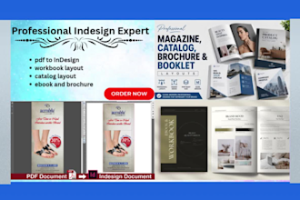 do pdf to indesign conversion,workbook layout,catalog layout,ebook and brochure
