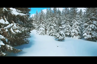 sing personalized country folk  pop and folk christmas song with female vocals