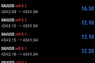 develop custom mql5 trading bots and expert advisors